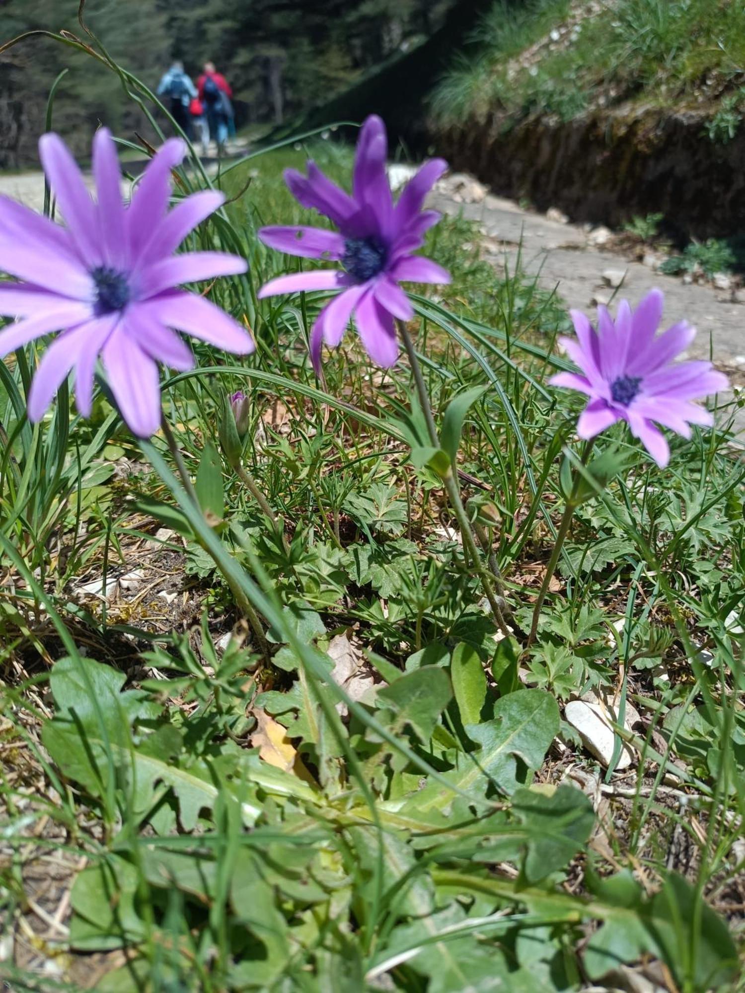 San Giovanni Gemini Casa Didyma 아파트 외부 사진